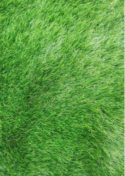 Искусственная трава Premium Soft 50 мм