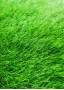 Искусственная трава зелёная Premium Soft 50 мм